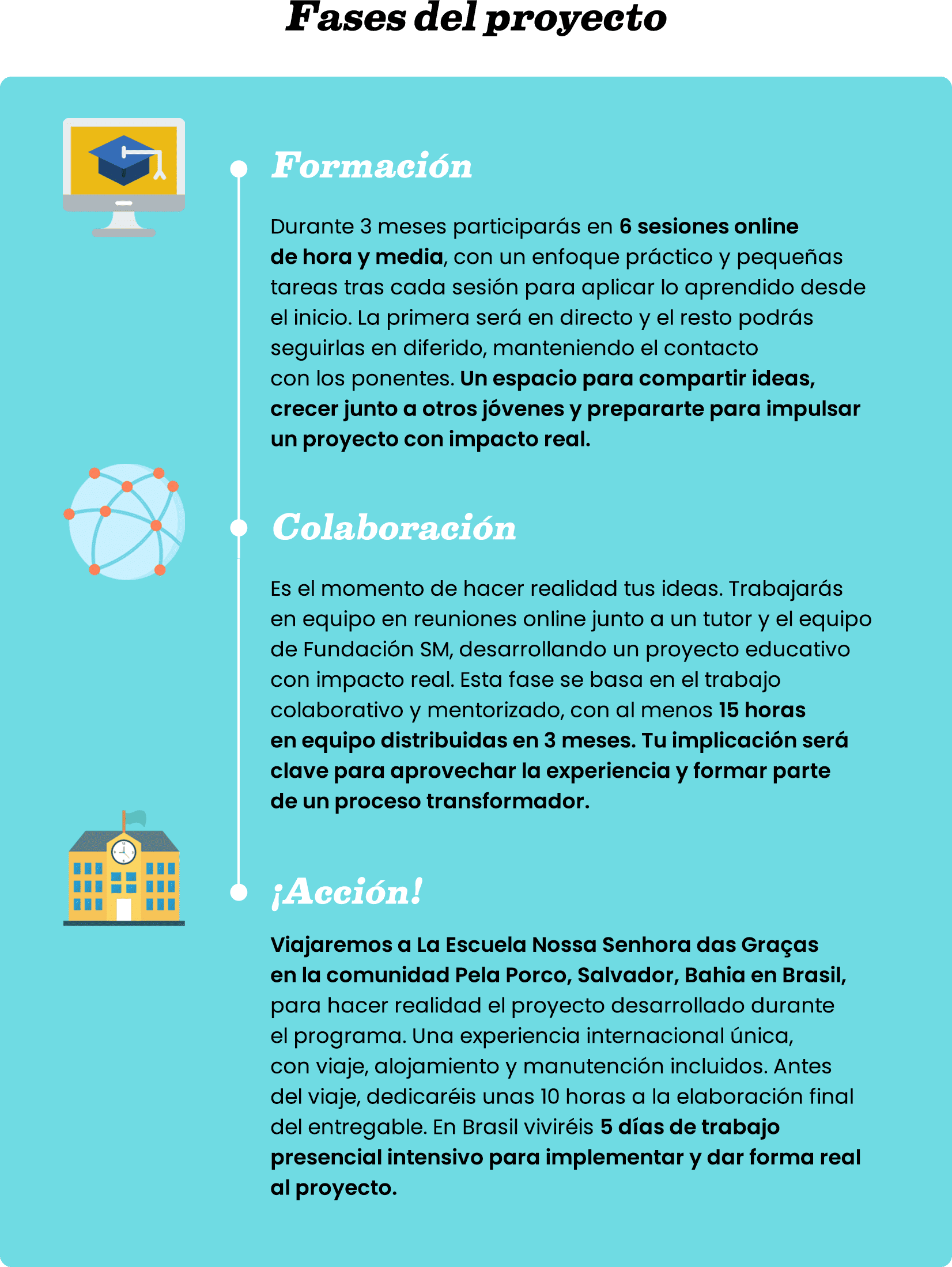 Fases del proyecto.